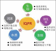 iqpr水體修復(fù)技術(shù) 展會(huì)新聞 第1張