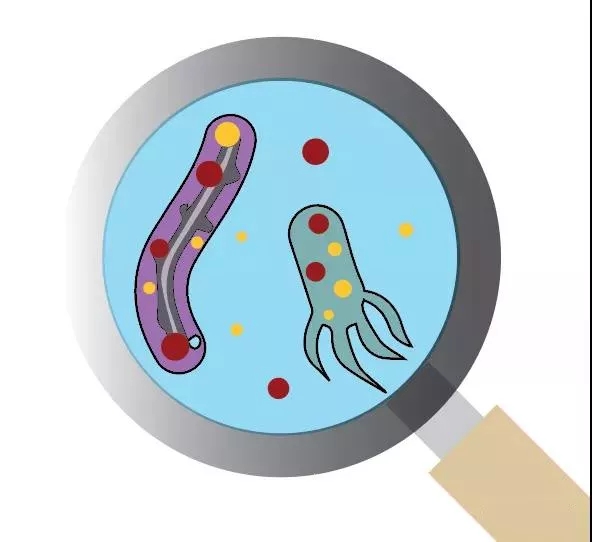 污水廠內的生物氣溶膠怎么產生，污水從業人員如何做好防護？ 行業熱點 第4張