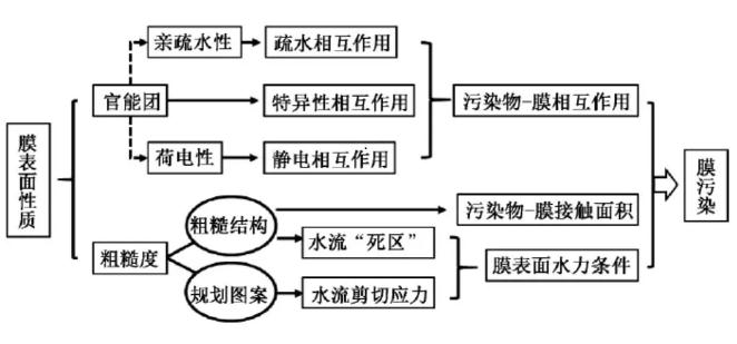 高壓膜表面性質對膜污染的影響機制 新聞資訊 第1張