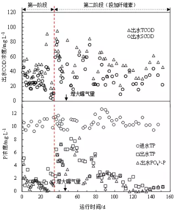 纖維素對污水生物處理系統性能的影響及機理分析 新聞資訊 第3張