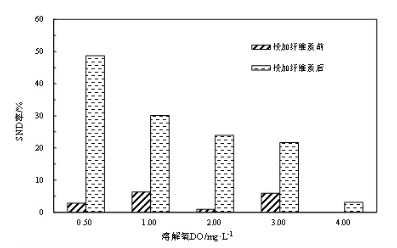 纖維素對污水生物處理系統性能的影響及機理分析 新聞資訊 第6張