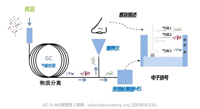 會飛的電子鼻——污水處理4.0時(shí)代的無人機(jī)應(yīng)用 新聞資訊 第5張