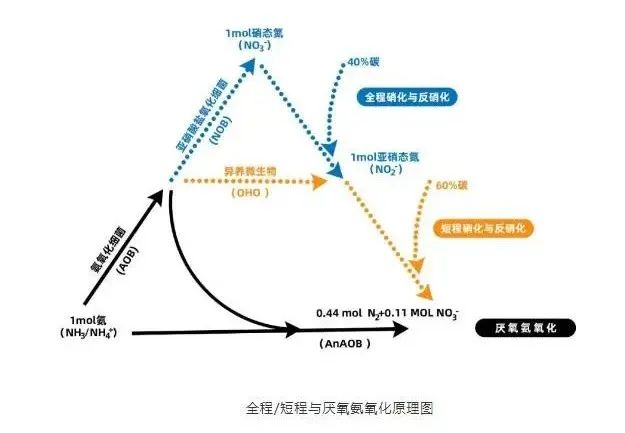 流體展|面對(duì)低濃度氨氮工業(yè)廢水束手無(wú)策？這幾種方法可以解決 行業(yè)熱點(diǎn) 第5張